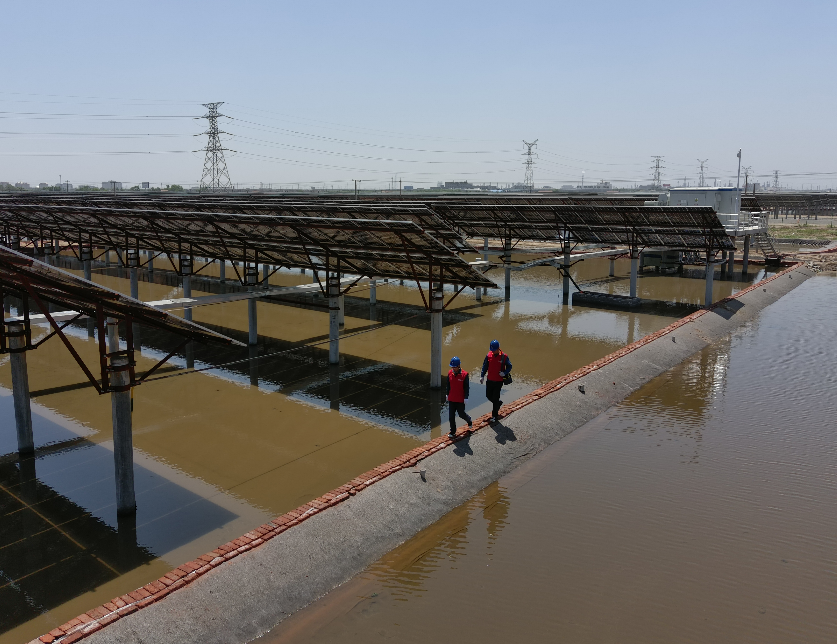 山东省电线电缆行业问鼎网页版登录入口 山东省电线电缆行业问鼎网页版登录入口