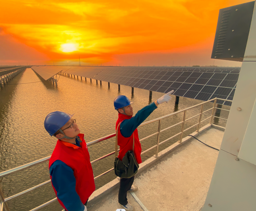 山东省电线电缆行业问鼎网页版登录入口 山东省电线电缆行业问鼎网页版登录入口