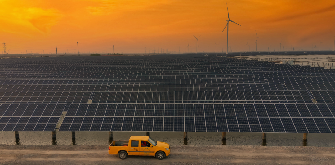 山东省电线电缆行业问鼎网页版登录入口 山东省电线电缆行业问鼎网页版登录入口