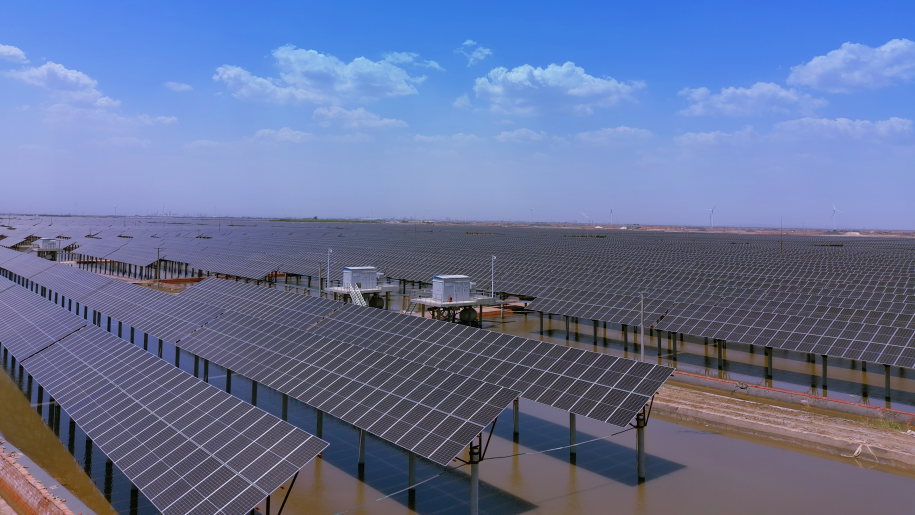 山东省电线电缆行业问鼎网页版登录入口 山东省电线电缆行业问鼎网页版登录入口